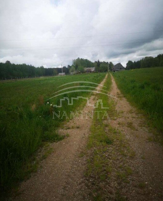 Sodyba Kretingos rajono sav., Pasertupyje – nuotrauka 5
