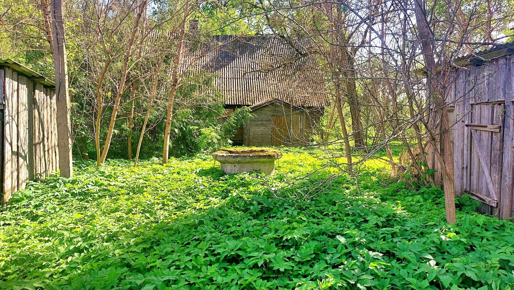 Sodyba Biržų rajono sav., Tabokinėje, Ūkininkų g. – nuotrauka 4