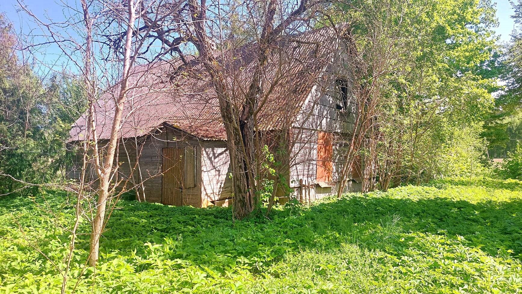 Sodyba Biržų rajono sav., Tabokinėje, Ūkininkų g. – nuotrauka 3