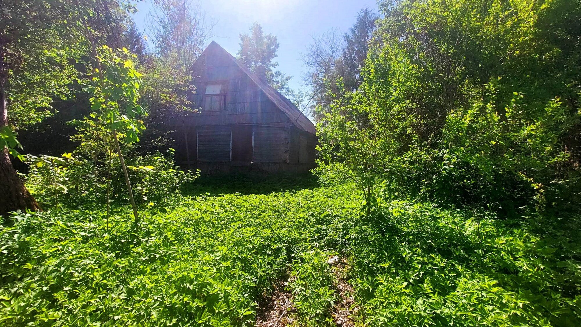 Sodyba Biržų rajono sav., Tabokinėje, Ūkininkų g. – nuotrauka 5