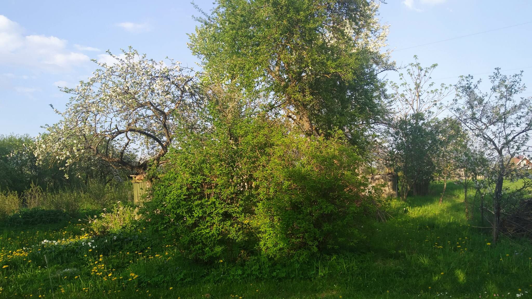 Sodo namas Radviliškio rajono sav., Baisogaloje, Sodų 3-oji g. – nuotrauka 5
