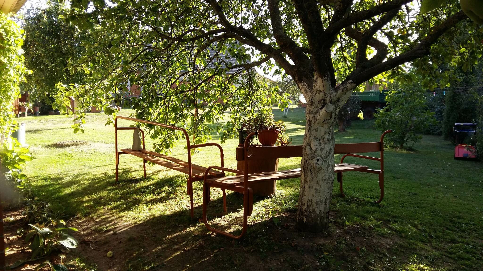 Gyvenamasis namas Panevėžio rajono sav., Gegužinėje, Topolių g. – nuotrauka 5