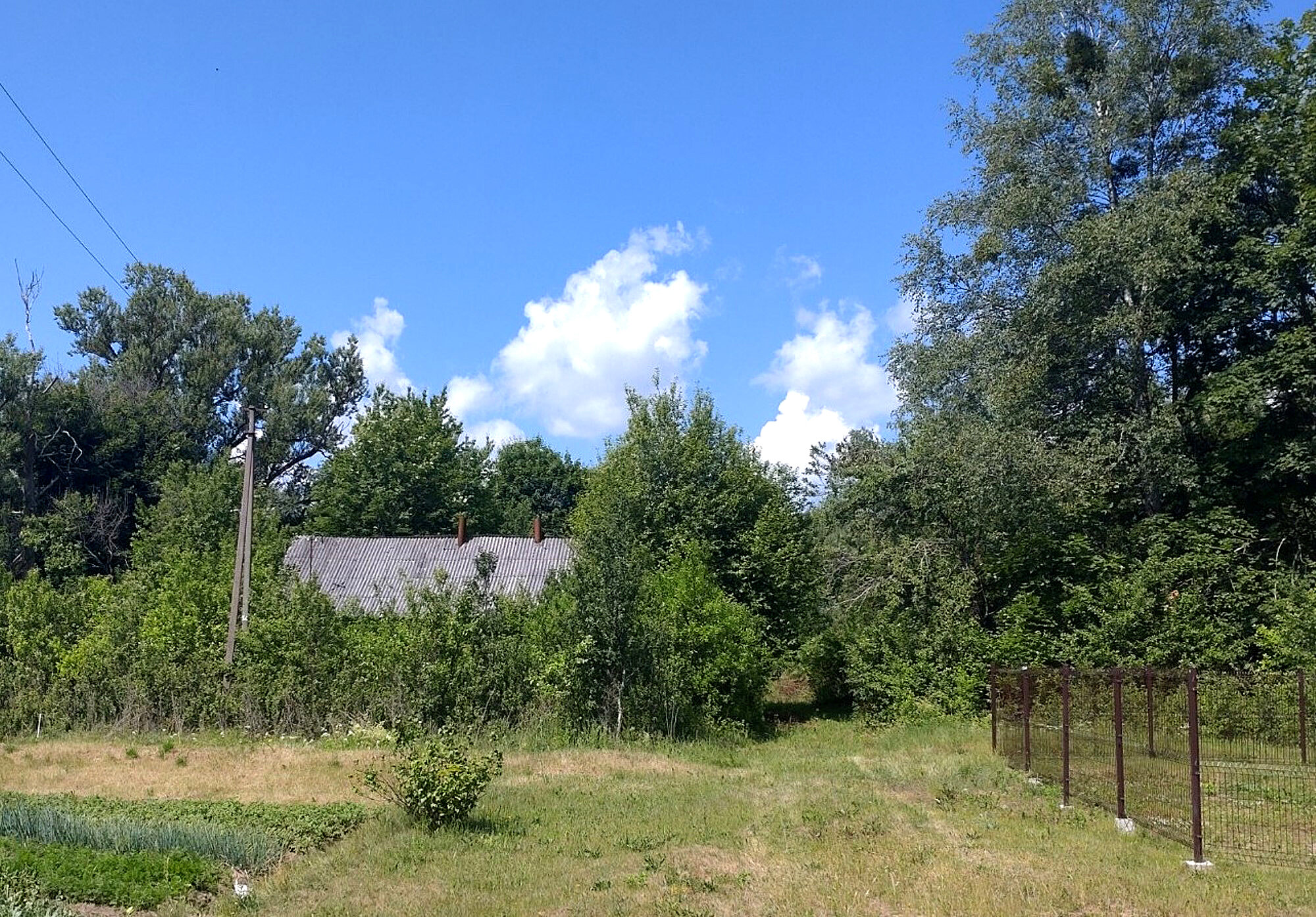 House Varėnos rajono sav., Panaroje – image 4