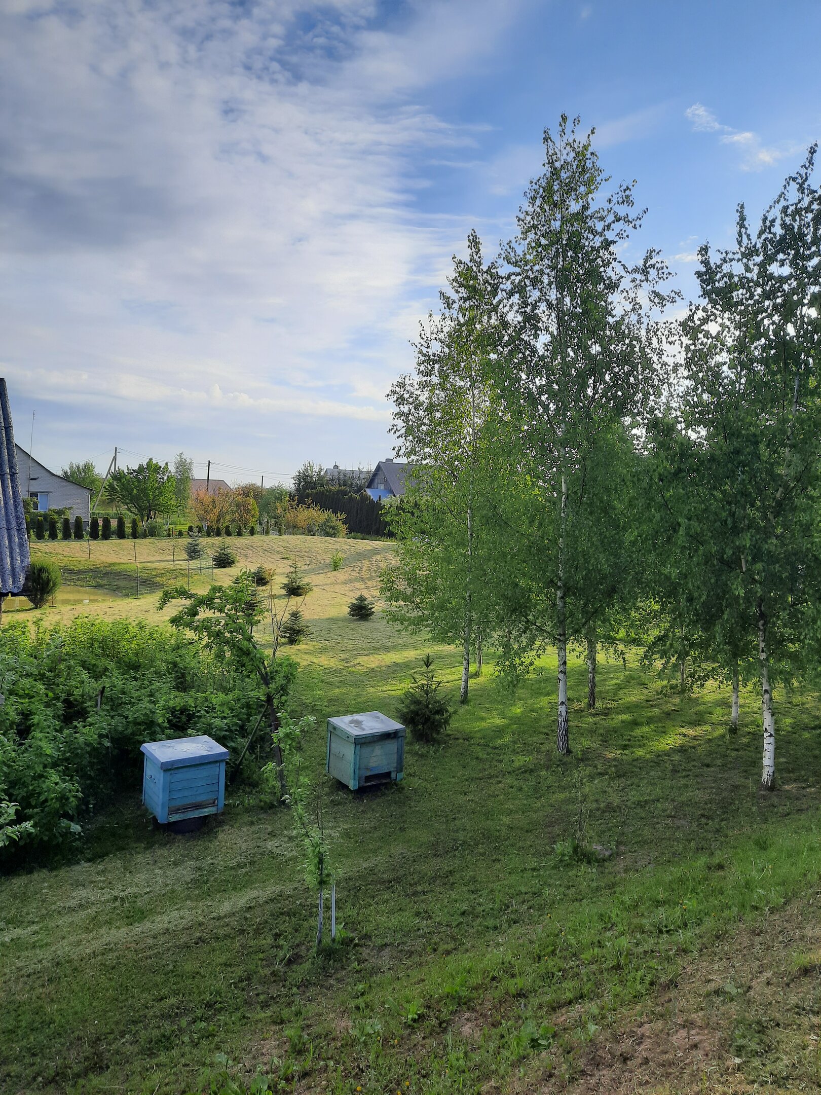 Gyvenamasis namas Pasvalio rajono sav., Gulbinėnuose, Alyvų g. – nuotrauka 3
