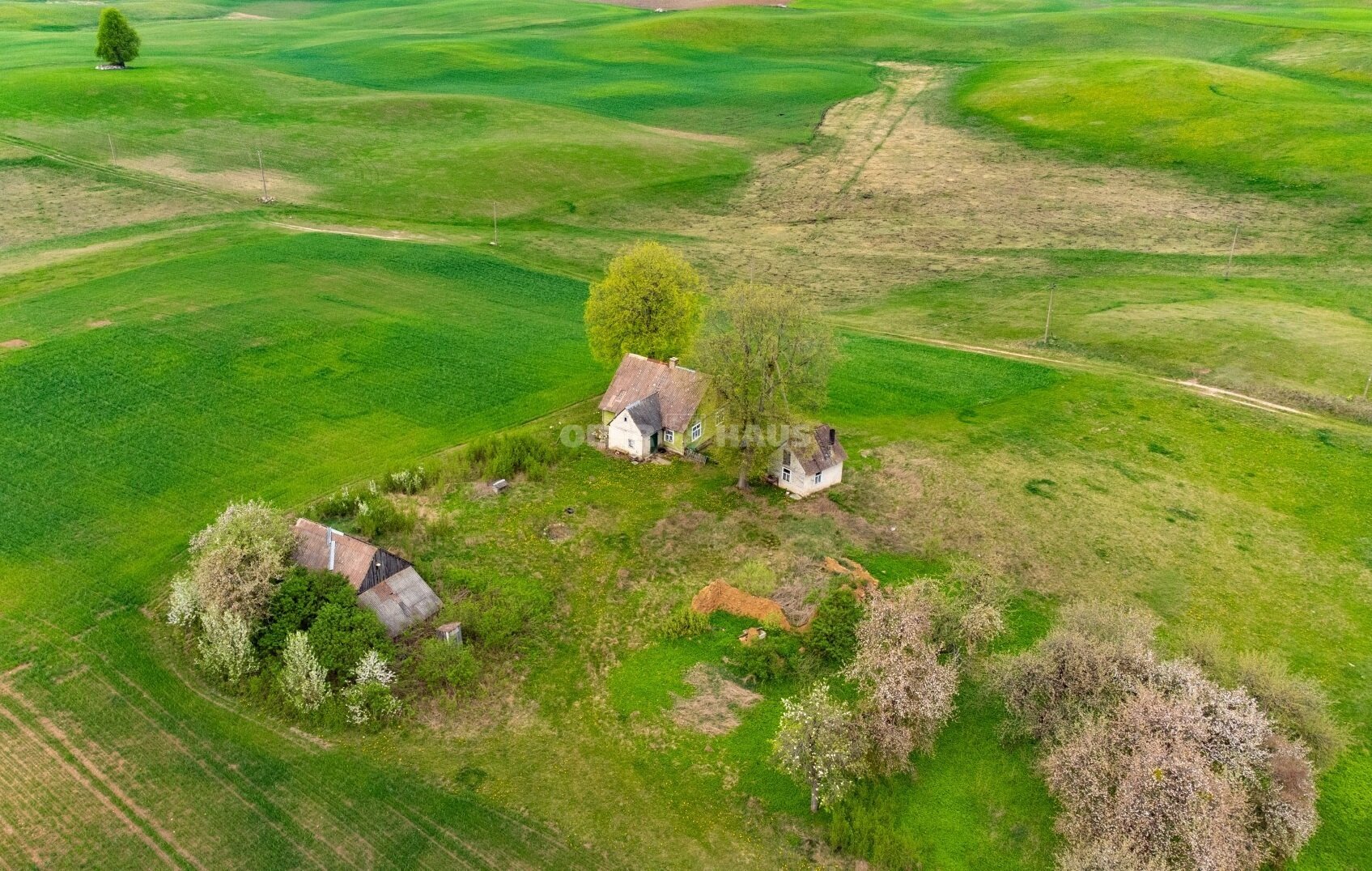 Gyvenamasis namas Lazdijų rajono sav., Klepočiuose – nuotrauka 5