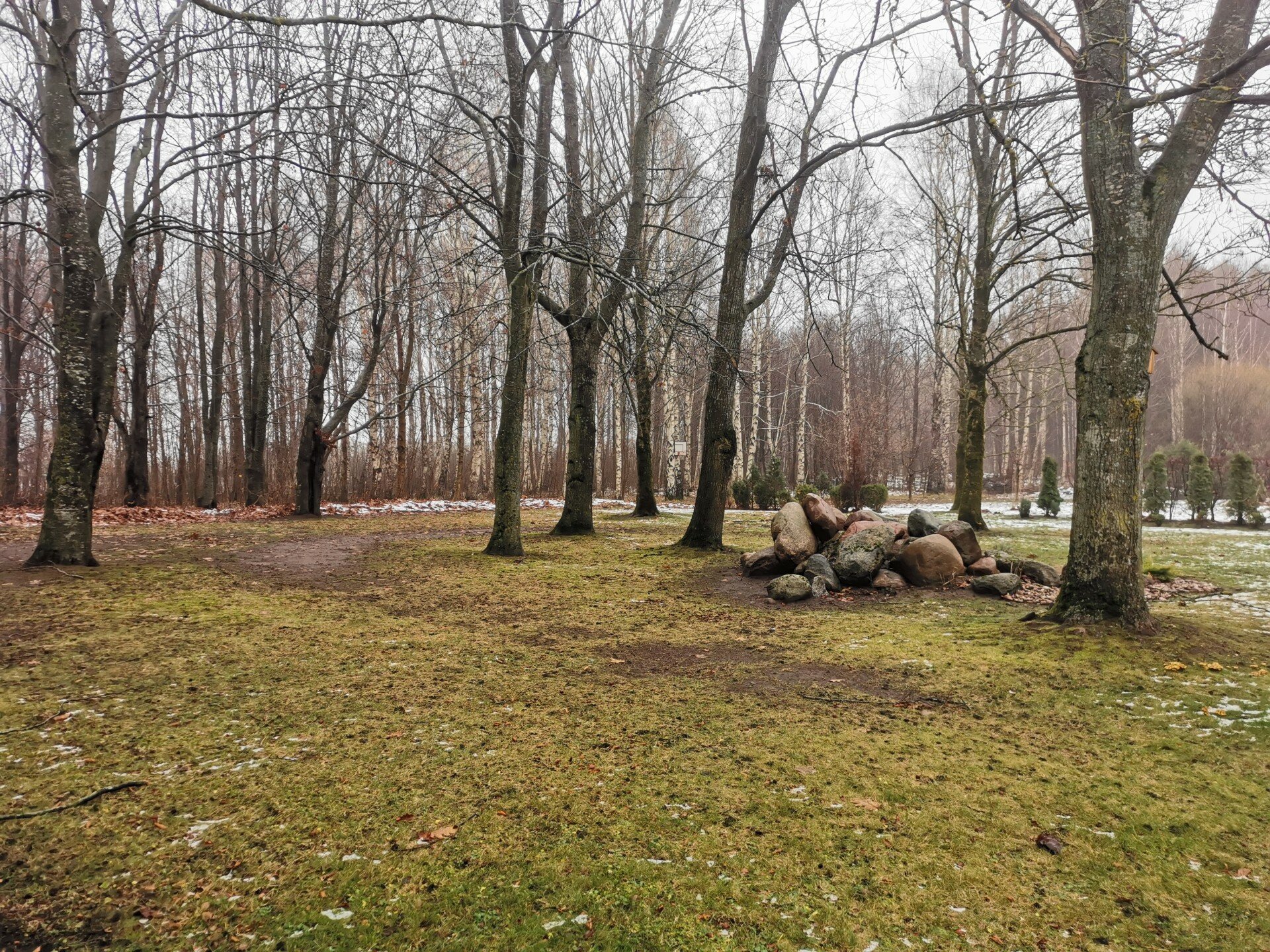 Дом Klaipėdos rajono sav., Gobergiškėje, Liepų g. – изображение 4