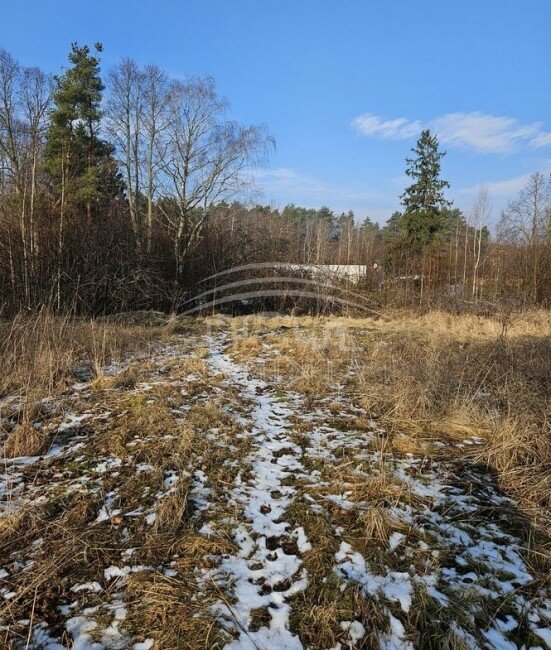 Sodyba Kretingos rajono sav., Pryšmančiuose – nuotrauka 5