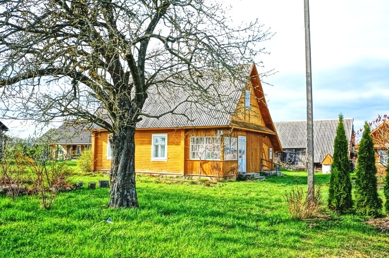 Sodyba Ignalinos rajono sav., Raščiūnuose, Koplyčios g. – nuotrauka 3