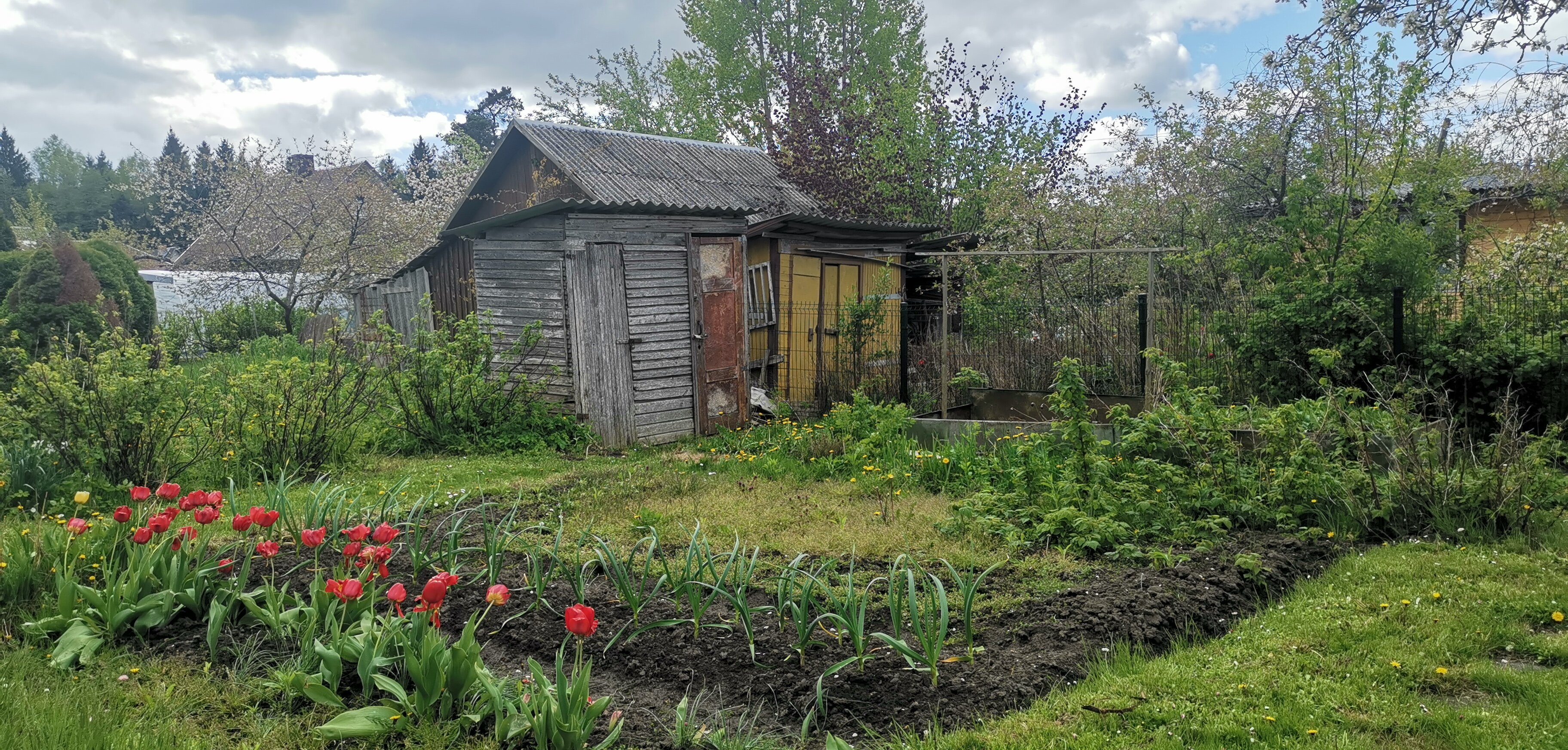 Sodo namas Panevėžio rajono sav., Naujikuose, Vargdienių g. – nuotrauka 4