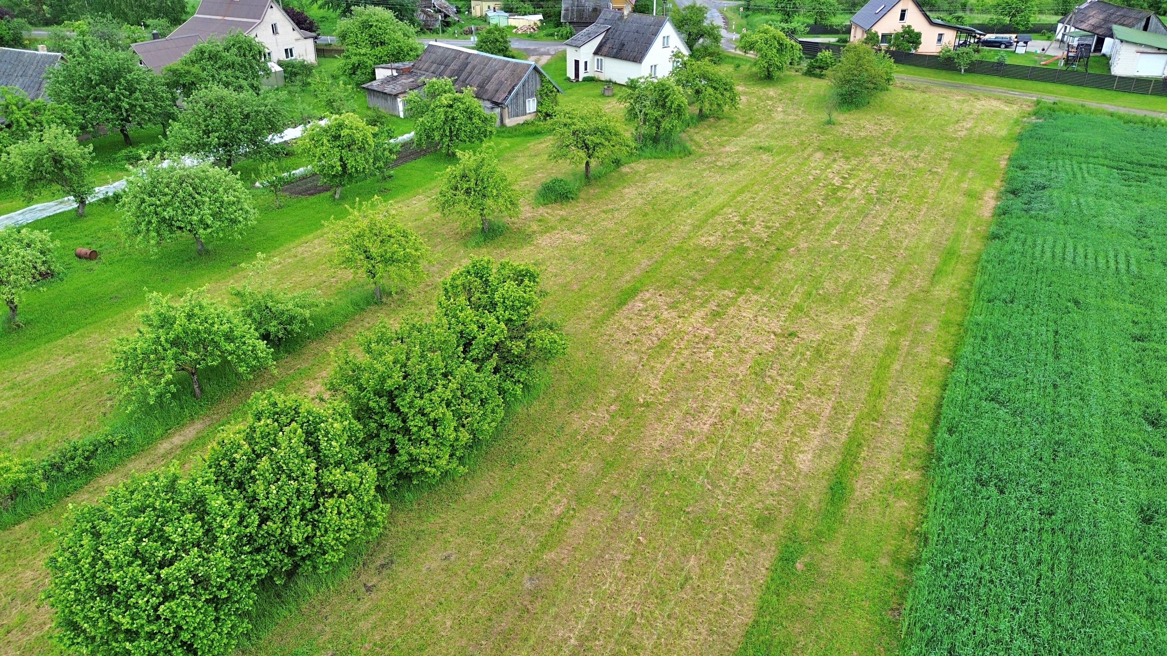Sodyba Panevėžio rajono sav., Marijonavoje, Tilto g. – nuotrauka 3