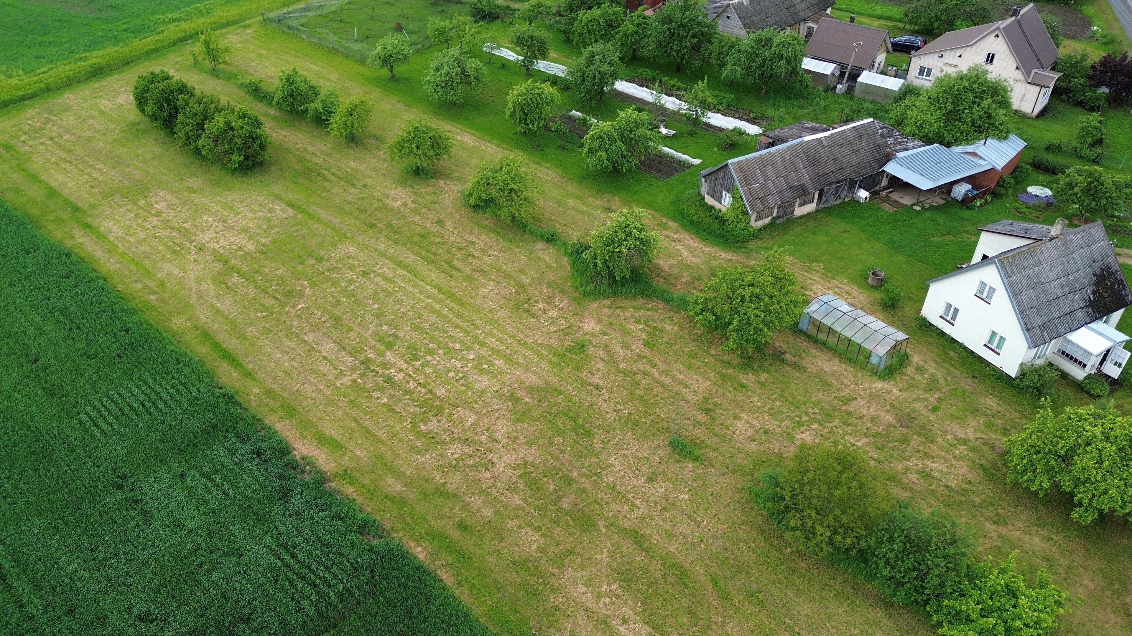 Sodyba Panevėžio rajono sav., Marijonavoje, Tilto g. – nuotrauka 5