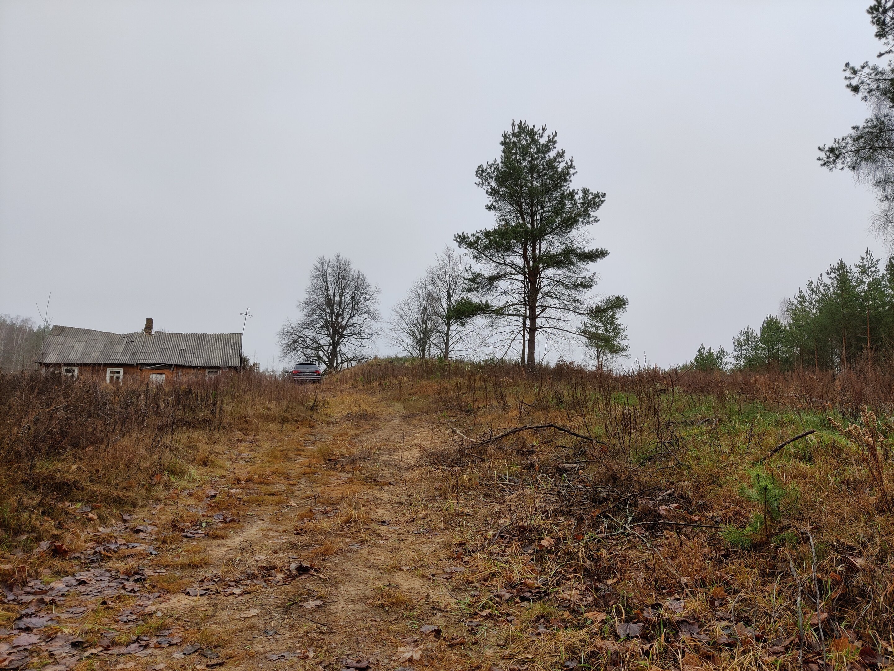 Sodyba Kaišiadorių rajono sav., Basonys II – nuotrauka 6