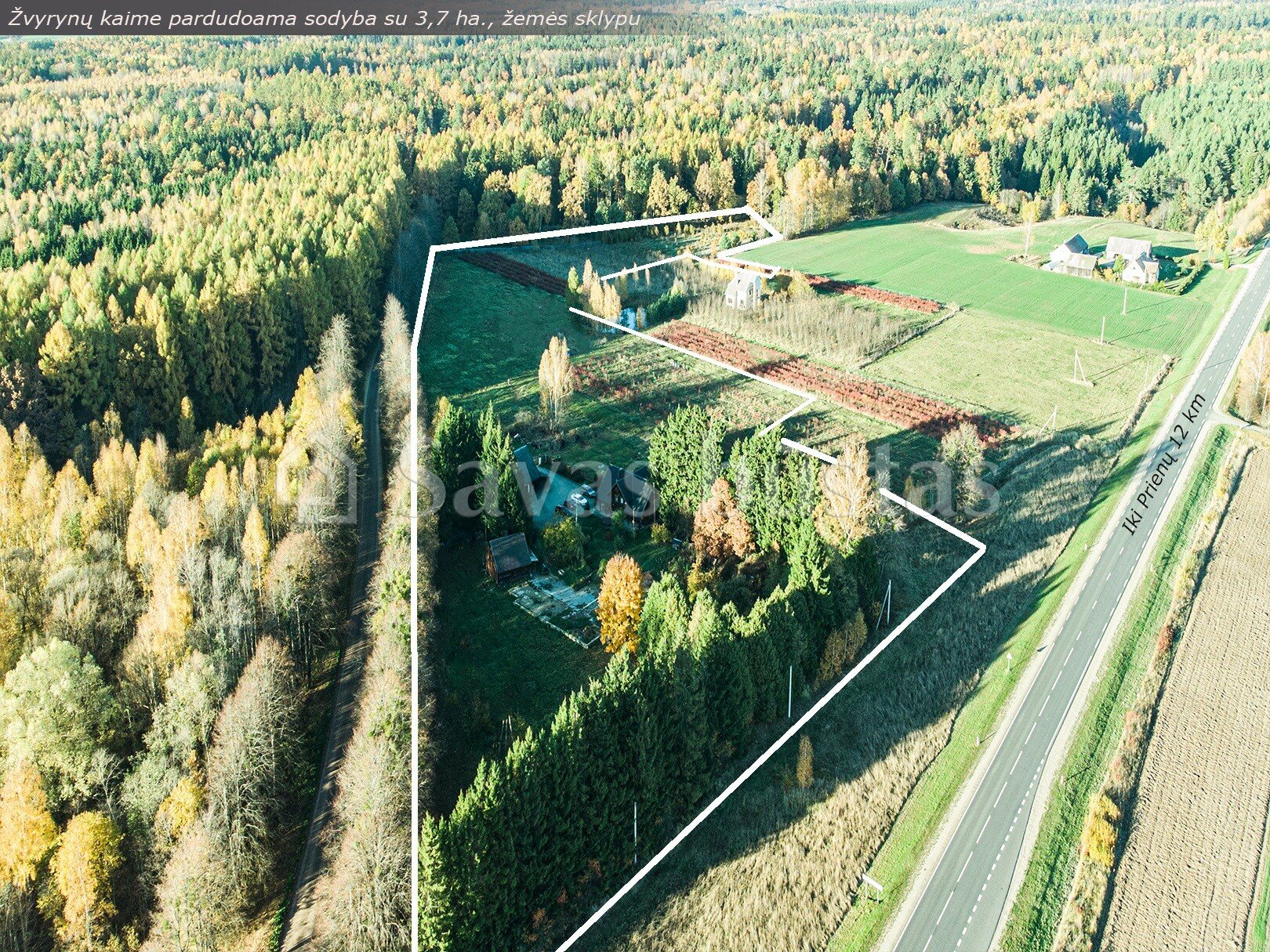 Sodyba Prienų rajono sav., Žvyrynuose, Prienų pl. – nuotrauka 3