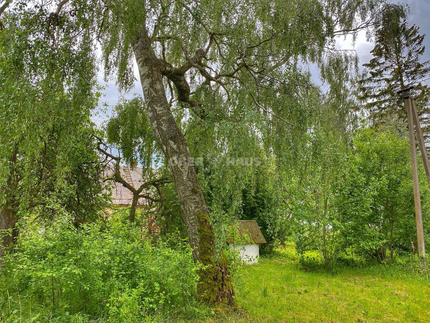 Gyvenamasis namas Radviliškio rajono sav., Tyruliuose – nuotrauka 5