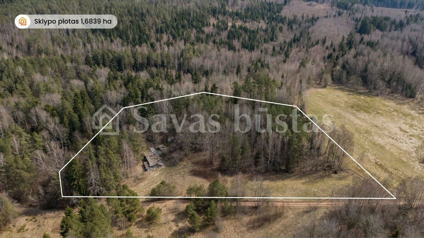 Sodyba Kelmės rajono sav., Gudmoniškėje – nuotrauka 4