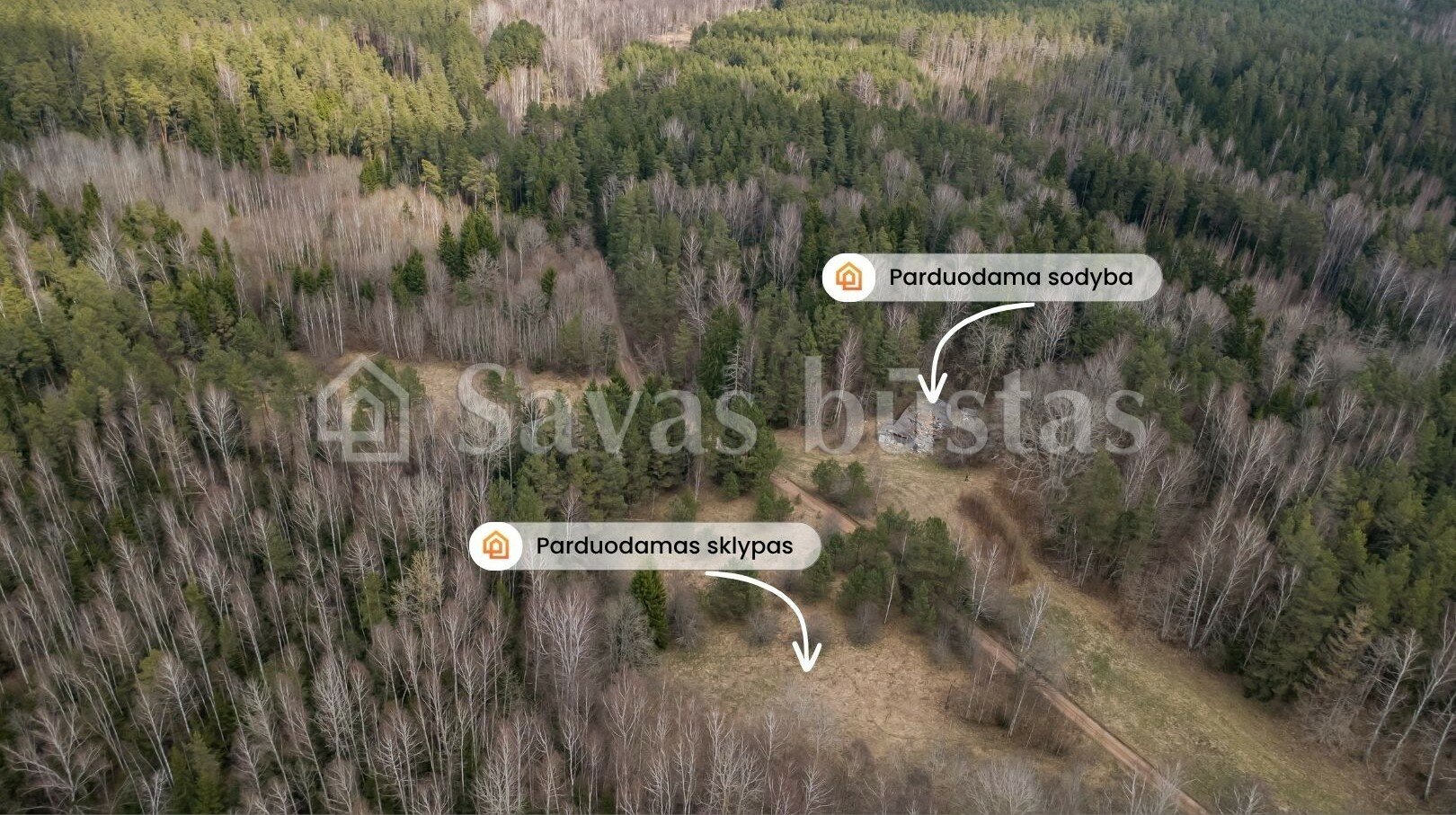 Sodyba Kelmės rajono sav., Gudmoniškėje – nuotrauka 6