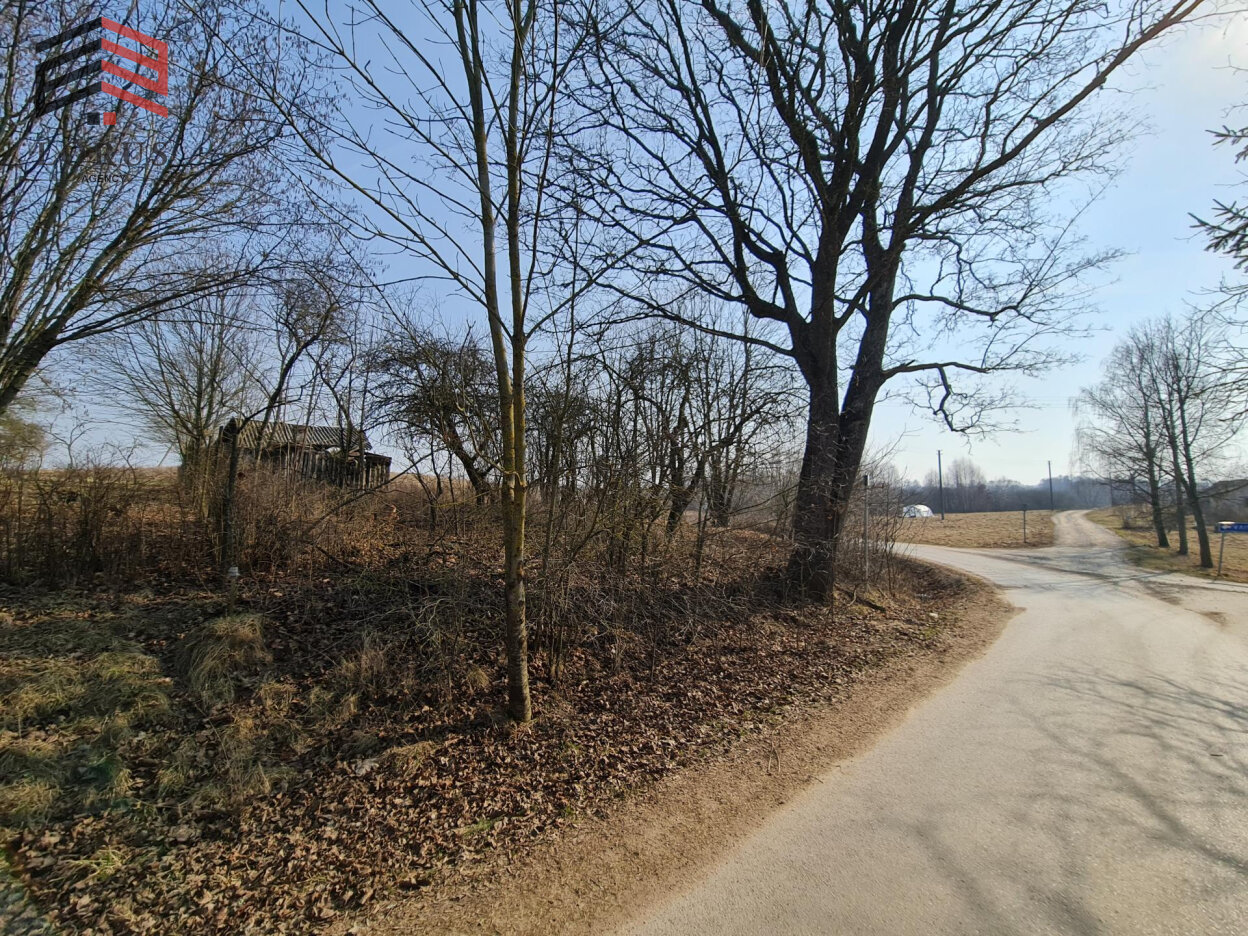 Sodyba Alytaus rajono sav., Žagariuose, Gojų g. – nuotrauka 3