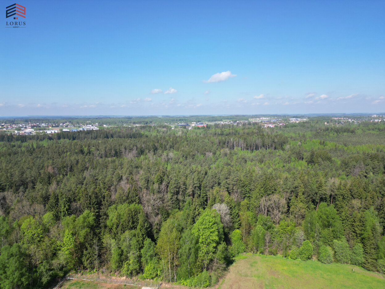 Дом Vilniaus rajono sav., Užudvarionyse, Liepų g. – изображение 6
