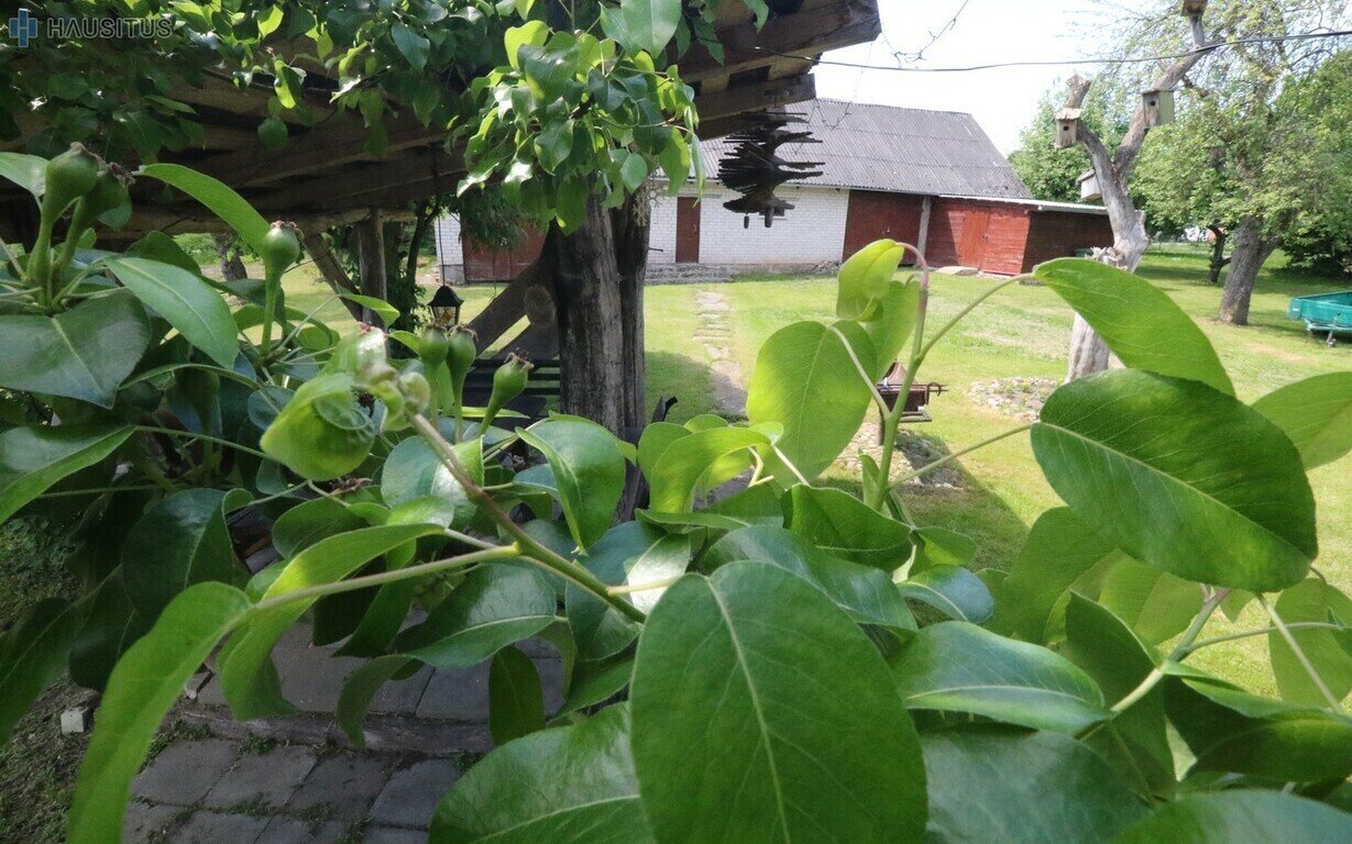 Gyvenamasis namas Anykščių rajono sav., Ažuožeriuose, Ežero g. – nuotrauka 5