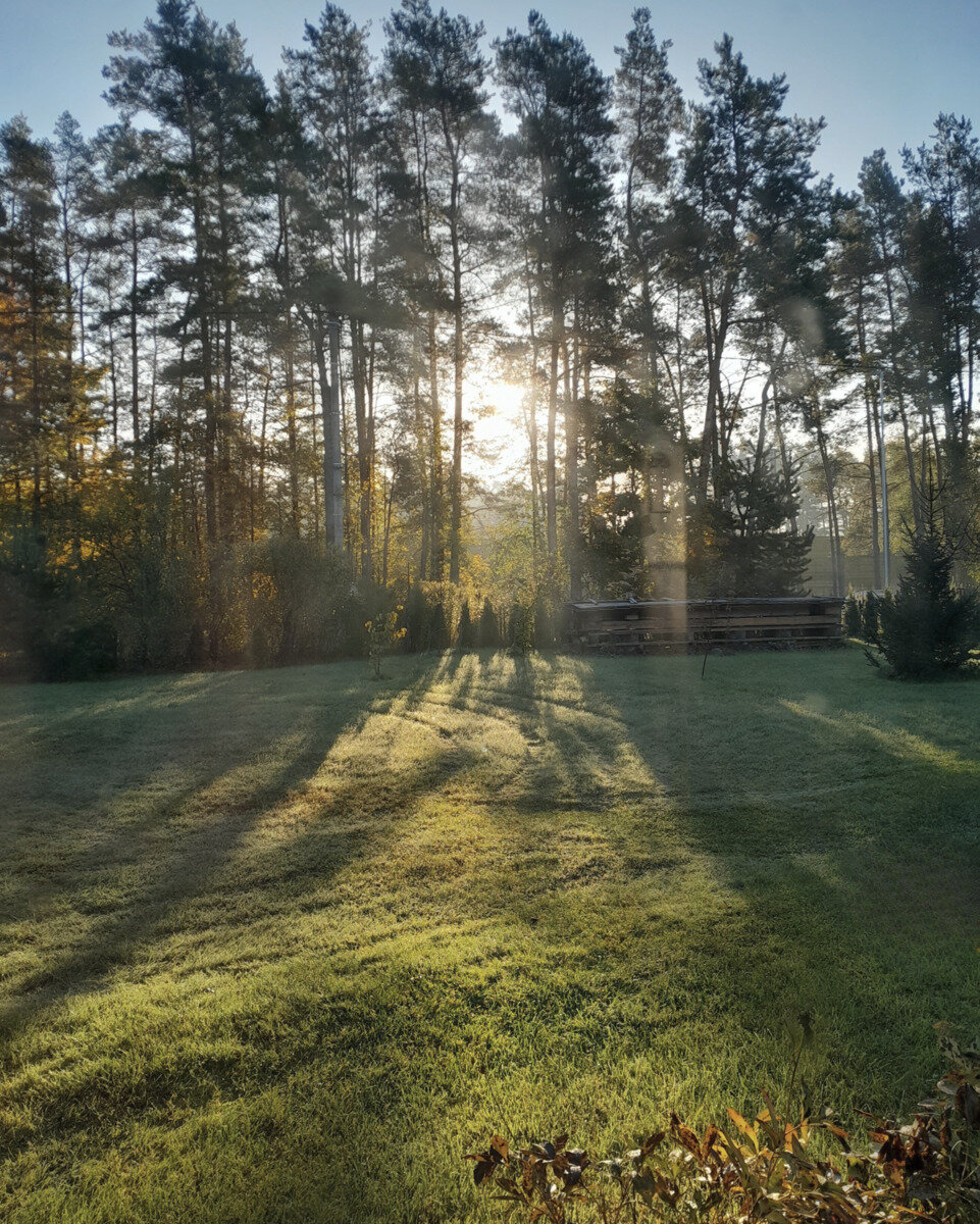 Gyvenamasis namas Vilniaus rajono sav., Juodšiliuose, Reisleravos g. – nuotrauka 3