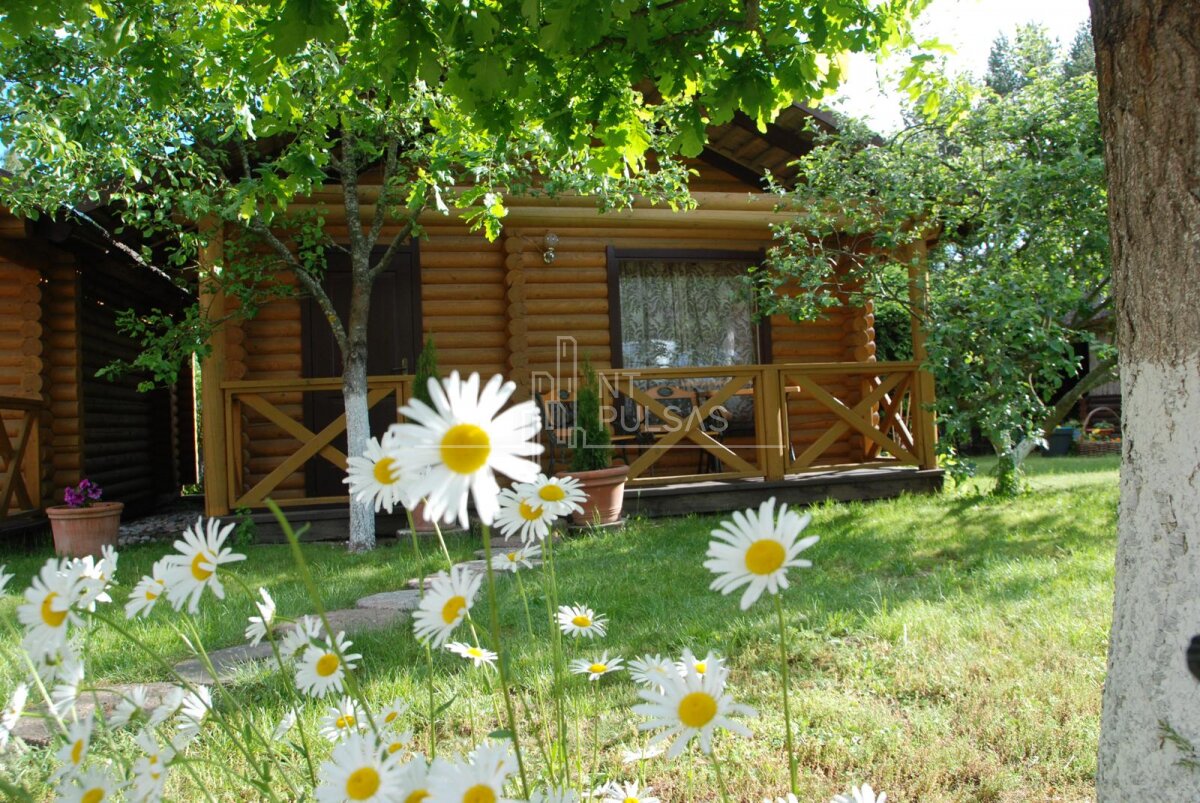House Šventojoje, Miško tak. – image 3