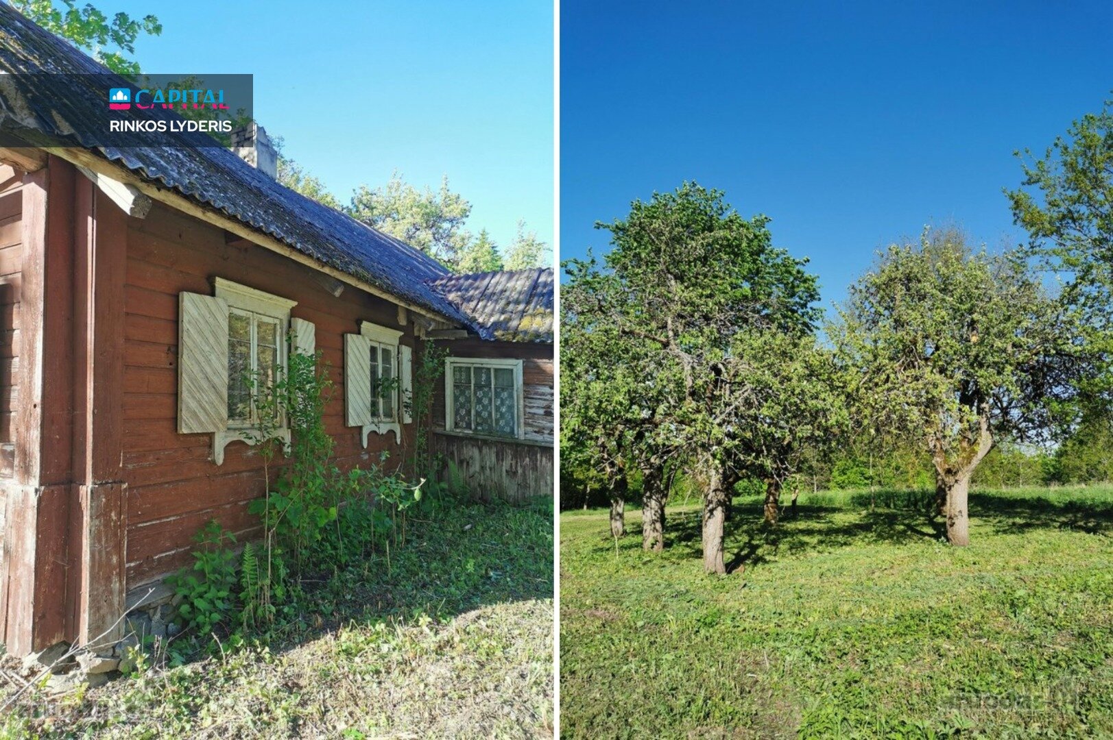 Sodyba Širvintų rajono sav., Janionyse – nuotrauka 3