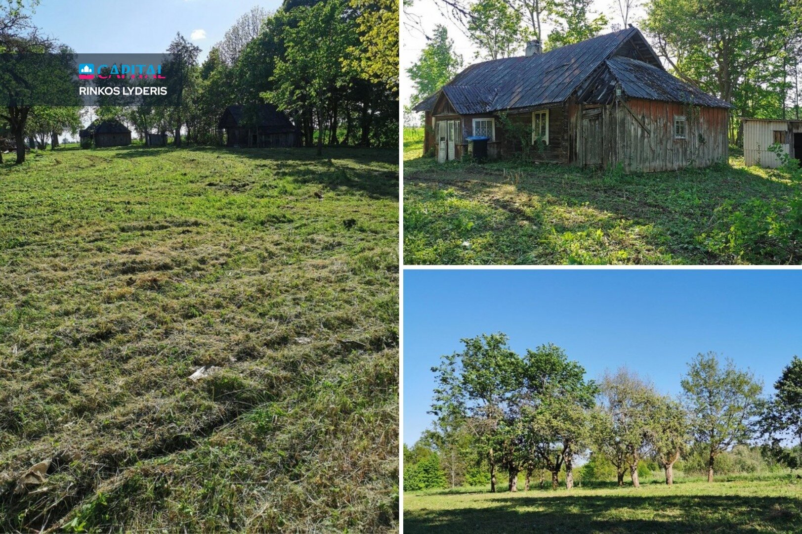 Sodyba Širvintų rajono sav., Janionyse – nuotrauka 4