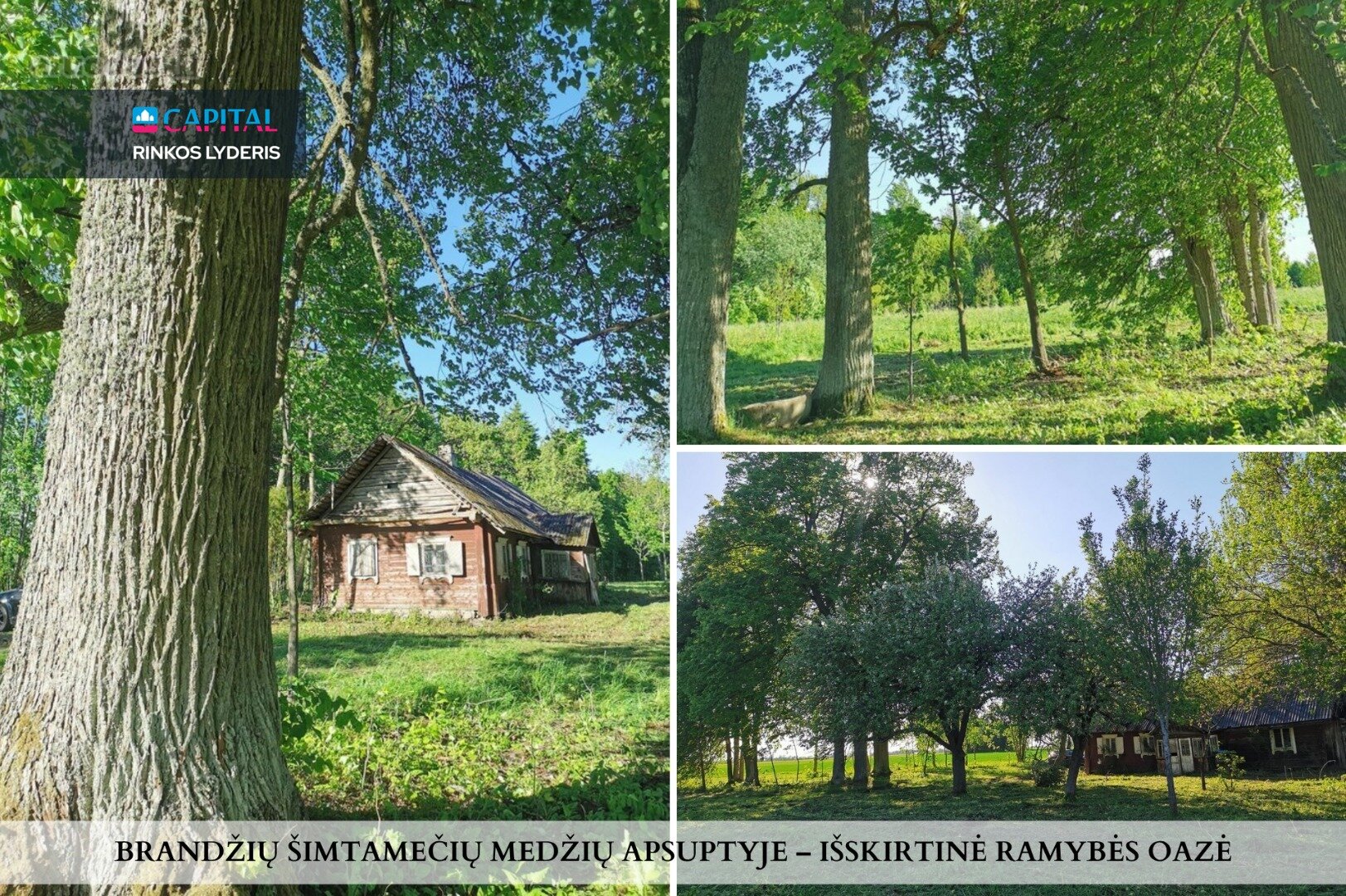 Sodyba Širvintų rajono sav., Janionyse – nuotrauka 5