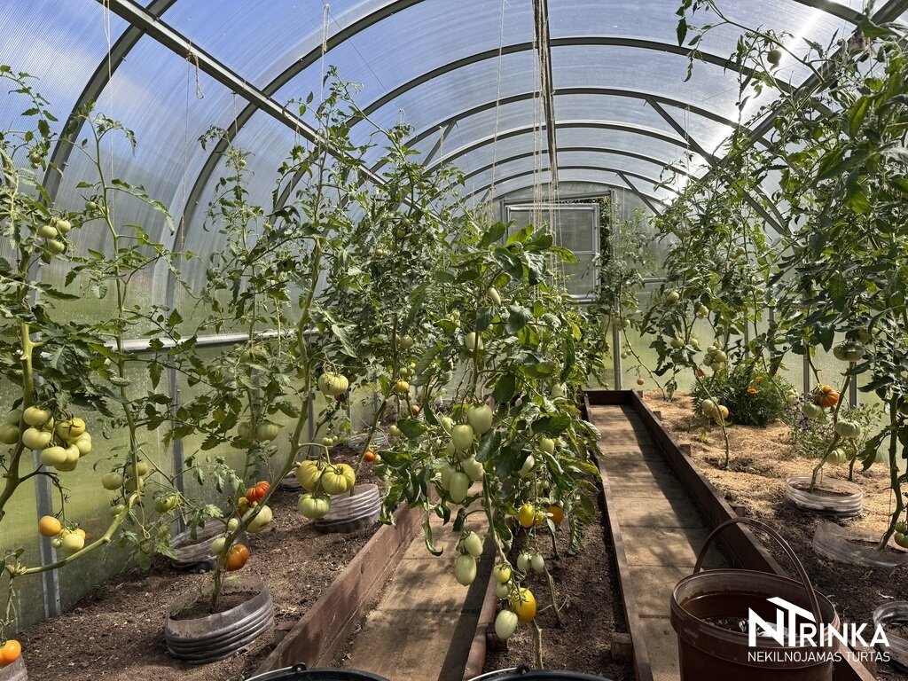 Sodo namas Šiaulių rajono sav., Šilėnai (Kuršėnų kaimiškoji sen.) – nuotrauka 6