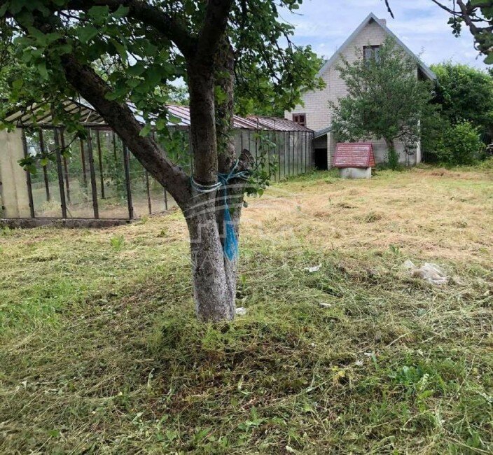 Sodo namas Klaipėdos rajono sav., Kisiniuose – nuotrauka 3