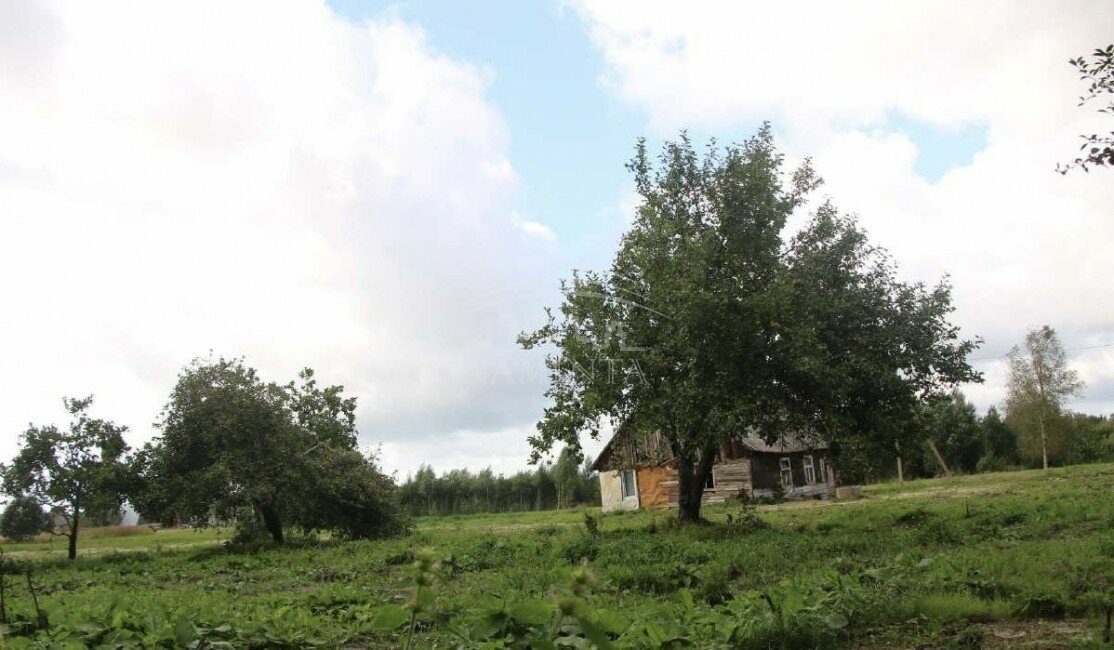 Sodyba Kretingos rajono sav., Darbėnuose – nuotrauka 4