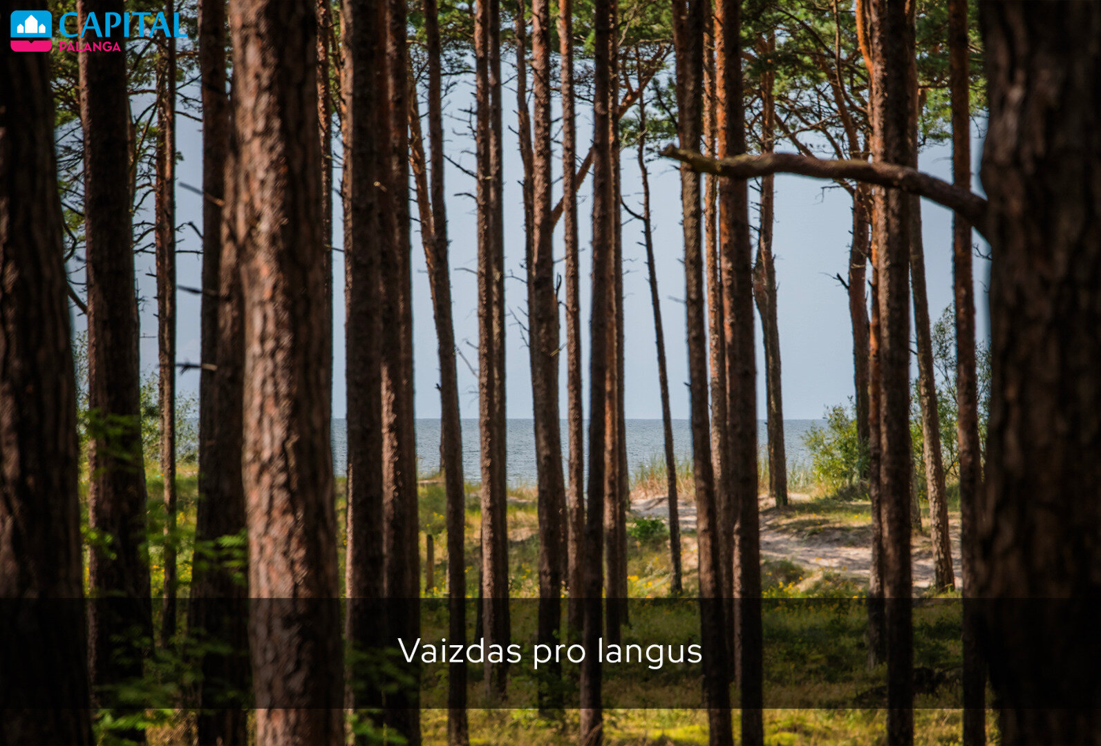 Gyvenamasis namas Kunigiškėse, Užkanavės g. – nuotrauka 3