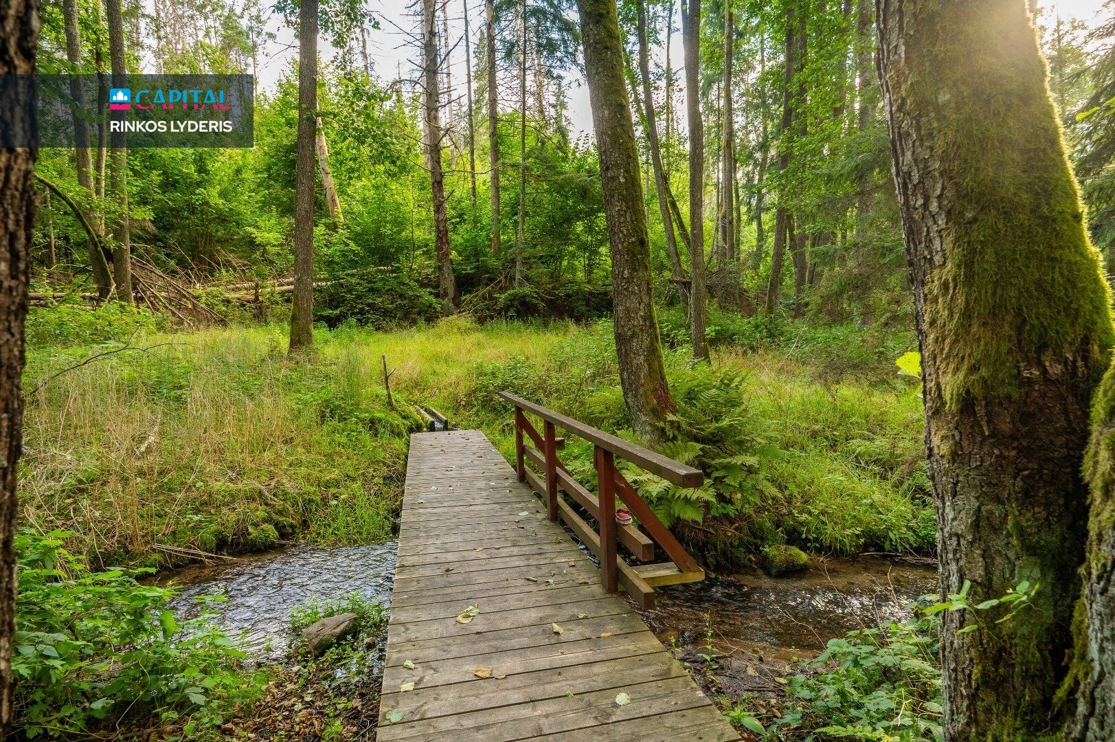 Sodyba Trakų rajono sav., Žuklijuose – nuotrauka 4