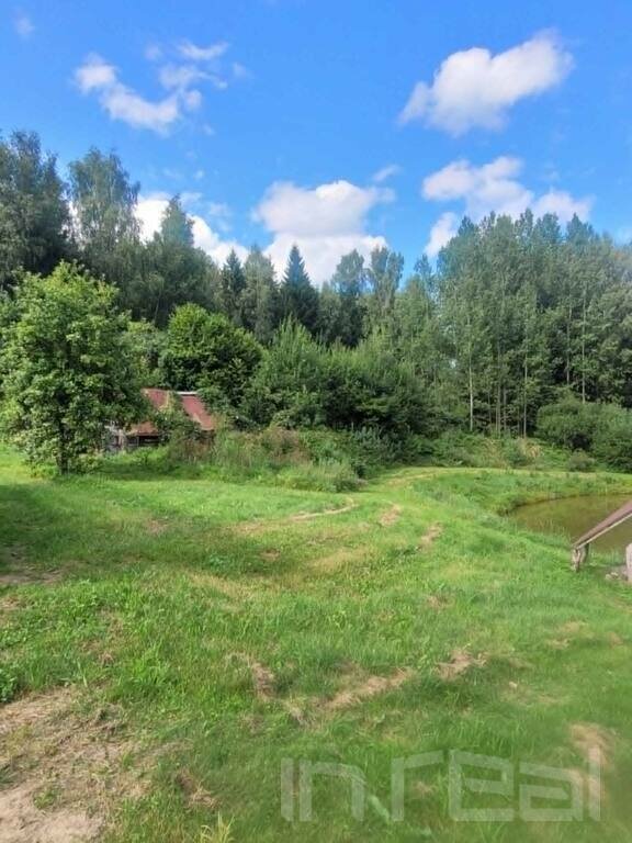 Sodyba Kelmės rajono sav., Trumpaičiuose – nuotrauka 4