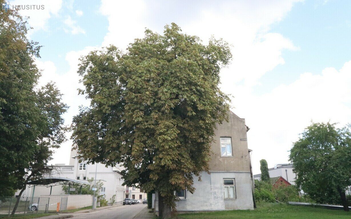 Part of house Panevėžyje, Centre, Š. Mero g. – image 4