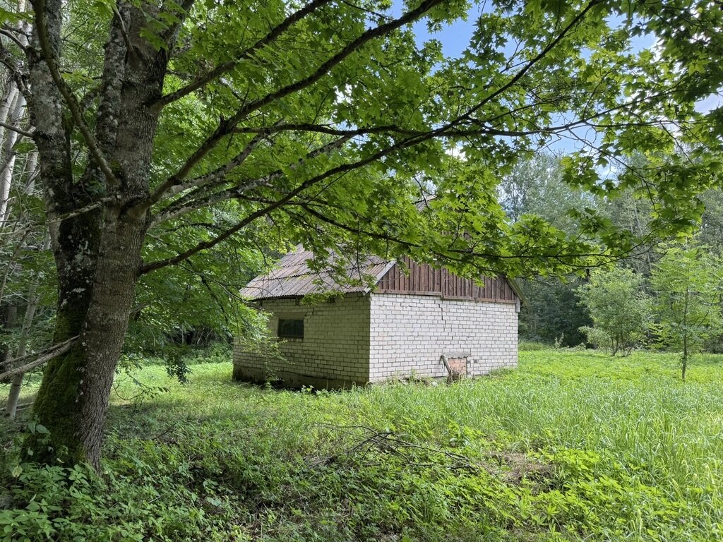 Sodyba Kelmės rajono sav., Badauskiuose – nuotrauka 6