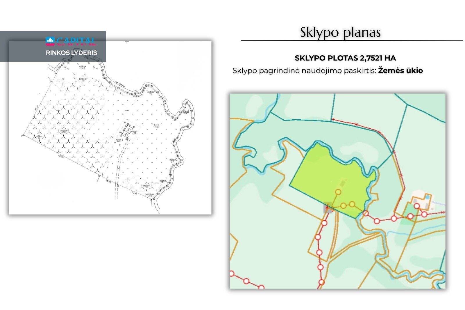 Gyvenamasis namas Kaišiadorių rajono sav., Bundiškėse – nuotrauka 5