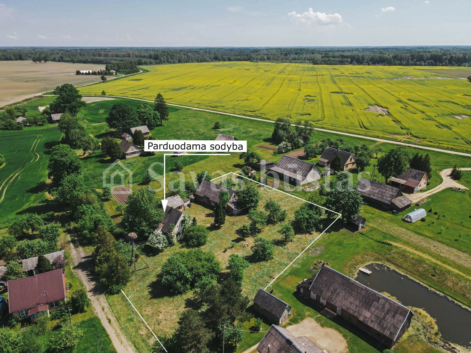Sodyba Kupiškio rajono sav., Tviruose – nuotrauka 3