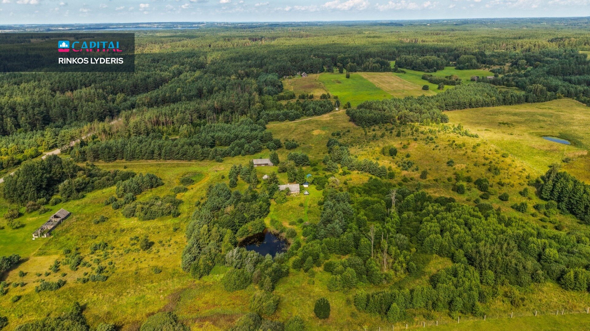 Homestead Druskininkų sav., Drapaliuose – image 3