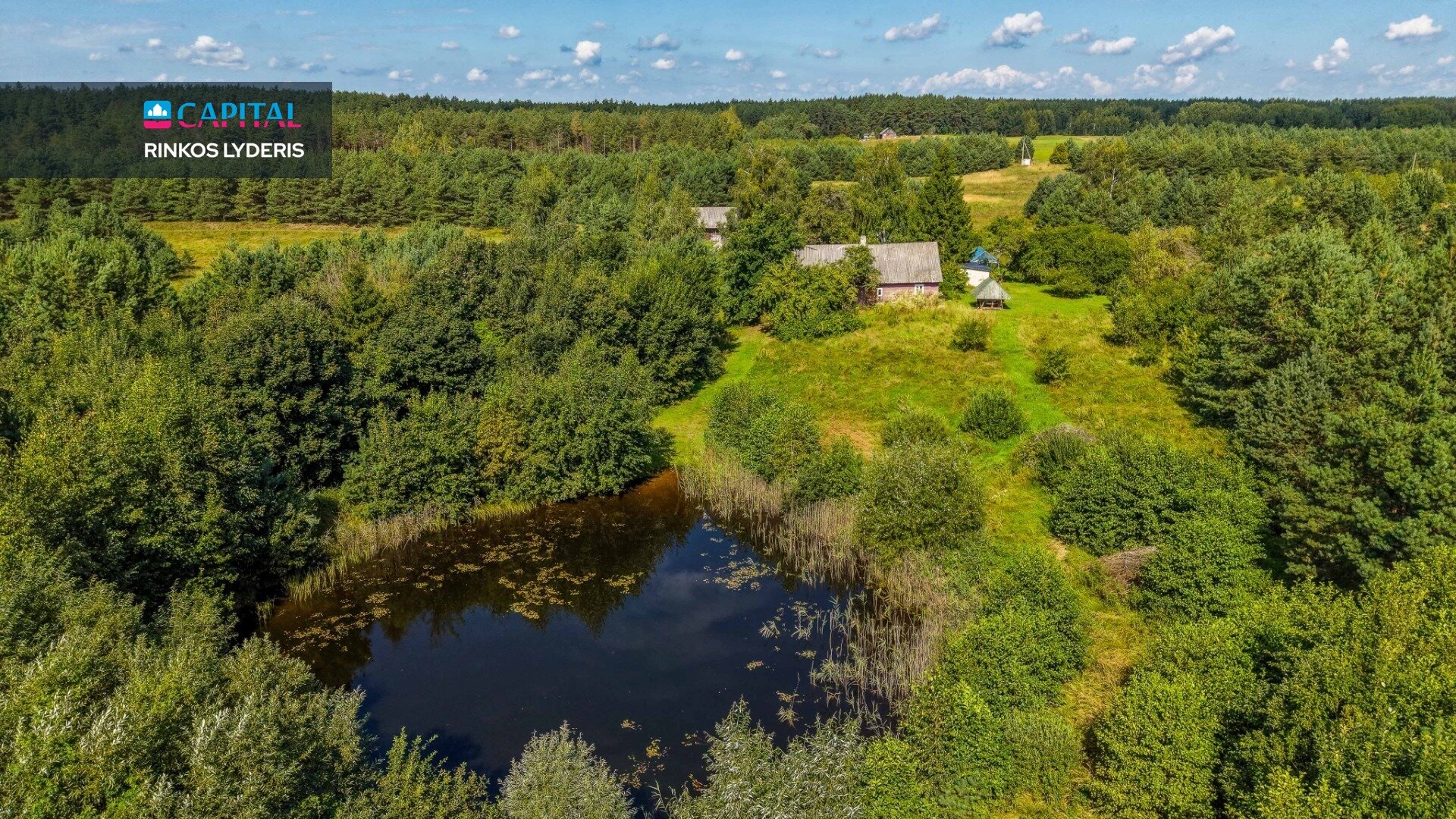 Sodyba Druskininkų sav., Drapaliuose – nuotrauka 1