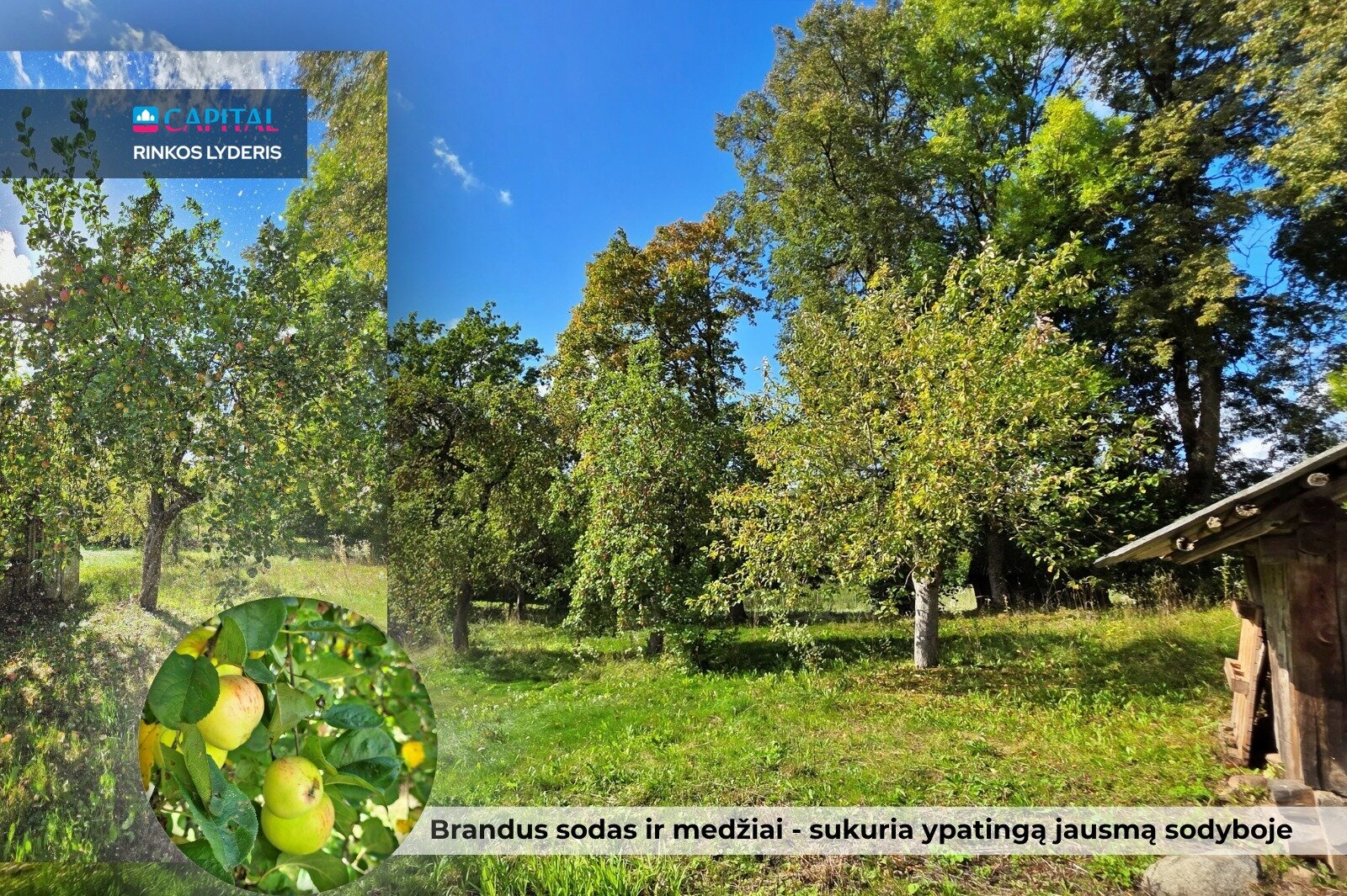 Gyvenamasis namas Širvintų r. sav., Čirkuose – nuotrauka 6