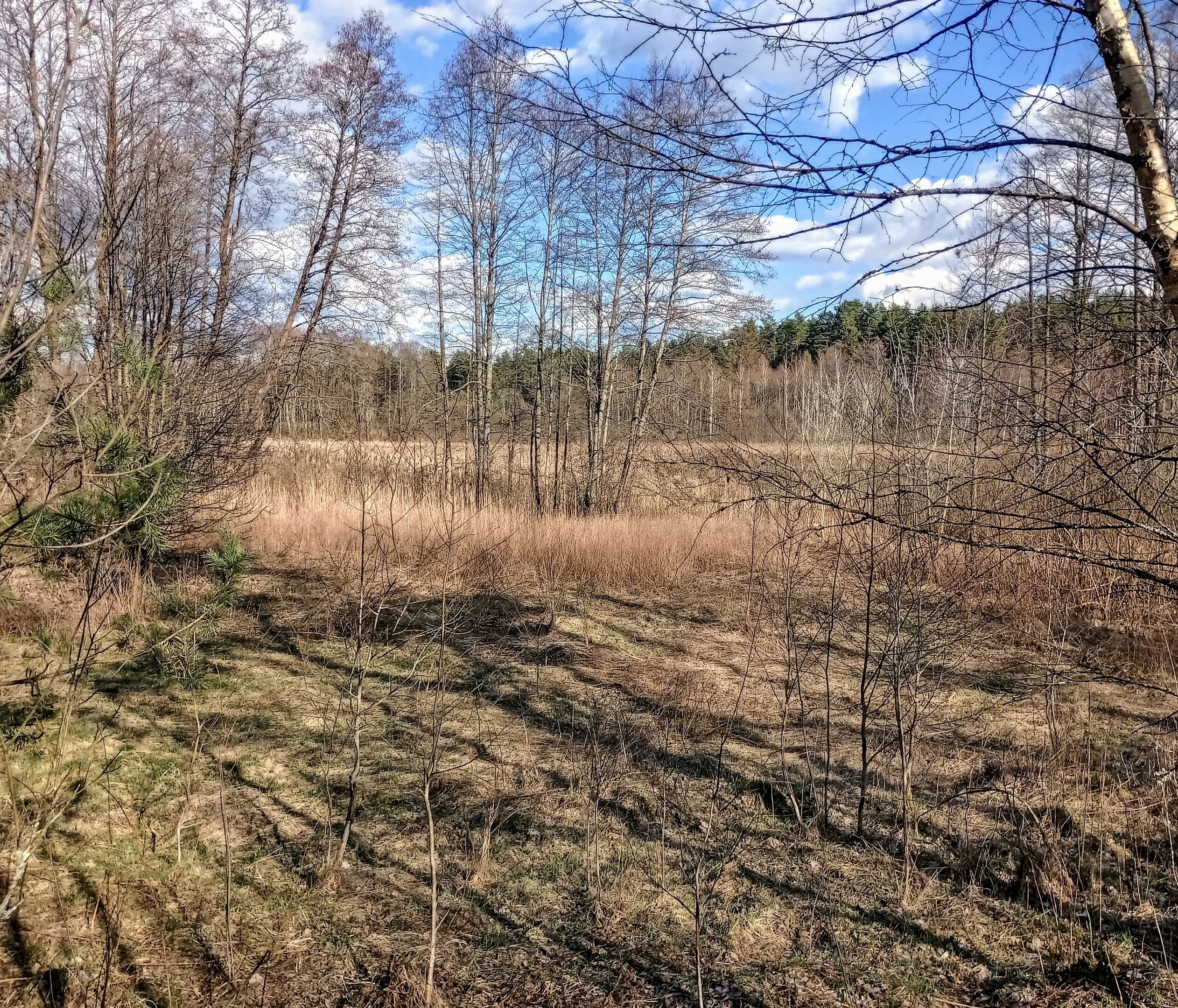 Sklypas Druskininkų sav., Latežeryje, Upės g. – nuotrauka 3