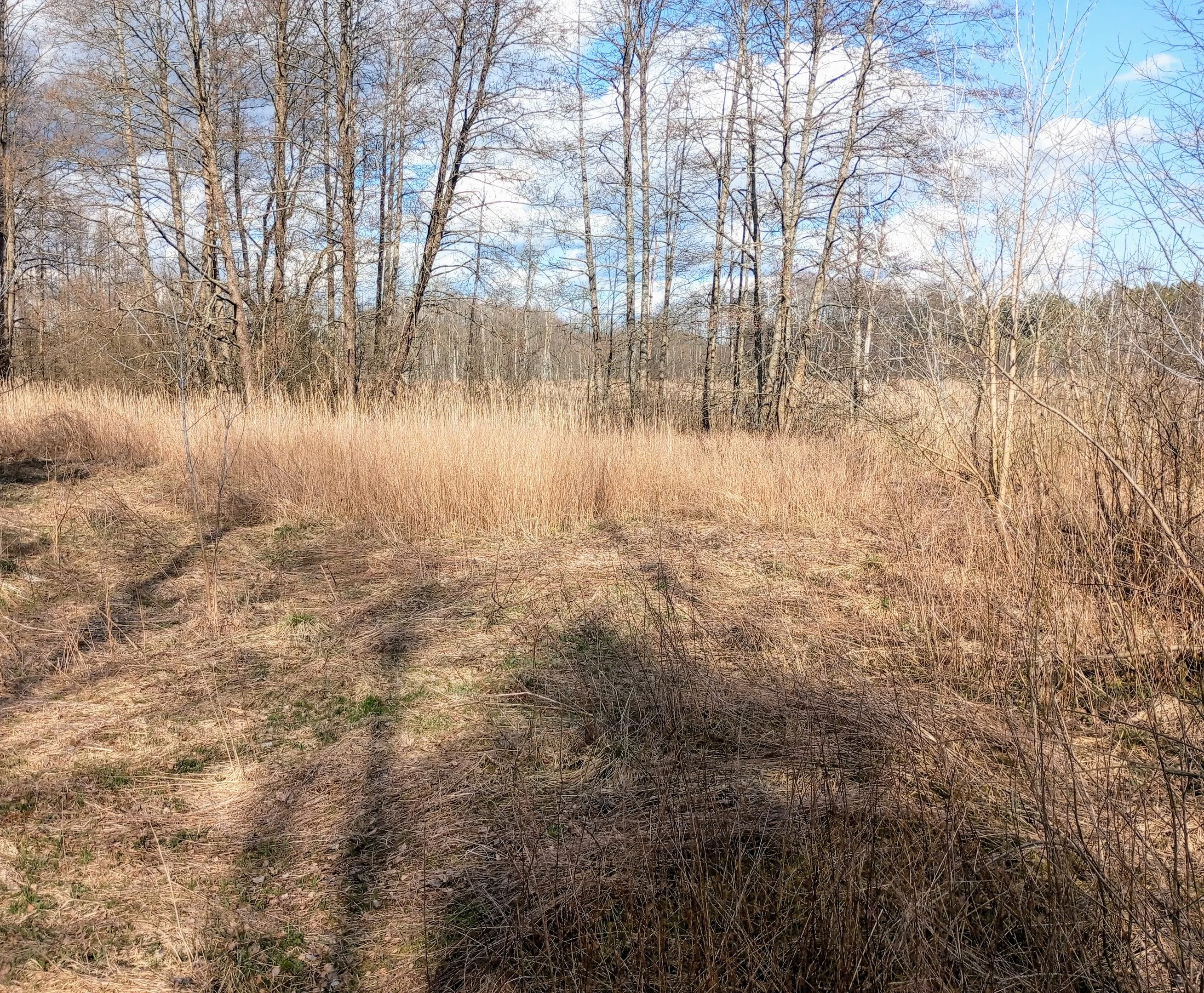 Sklypas Druskininkų sav., Latežeryje, Upės g. – nuotrauka 4
