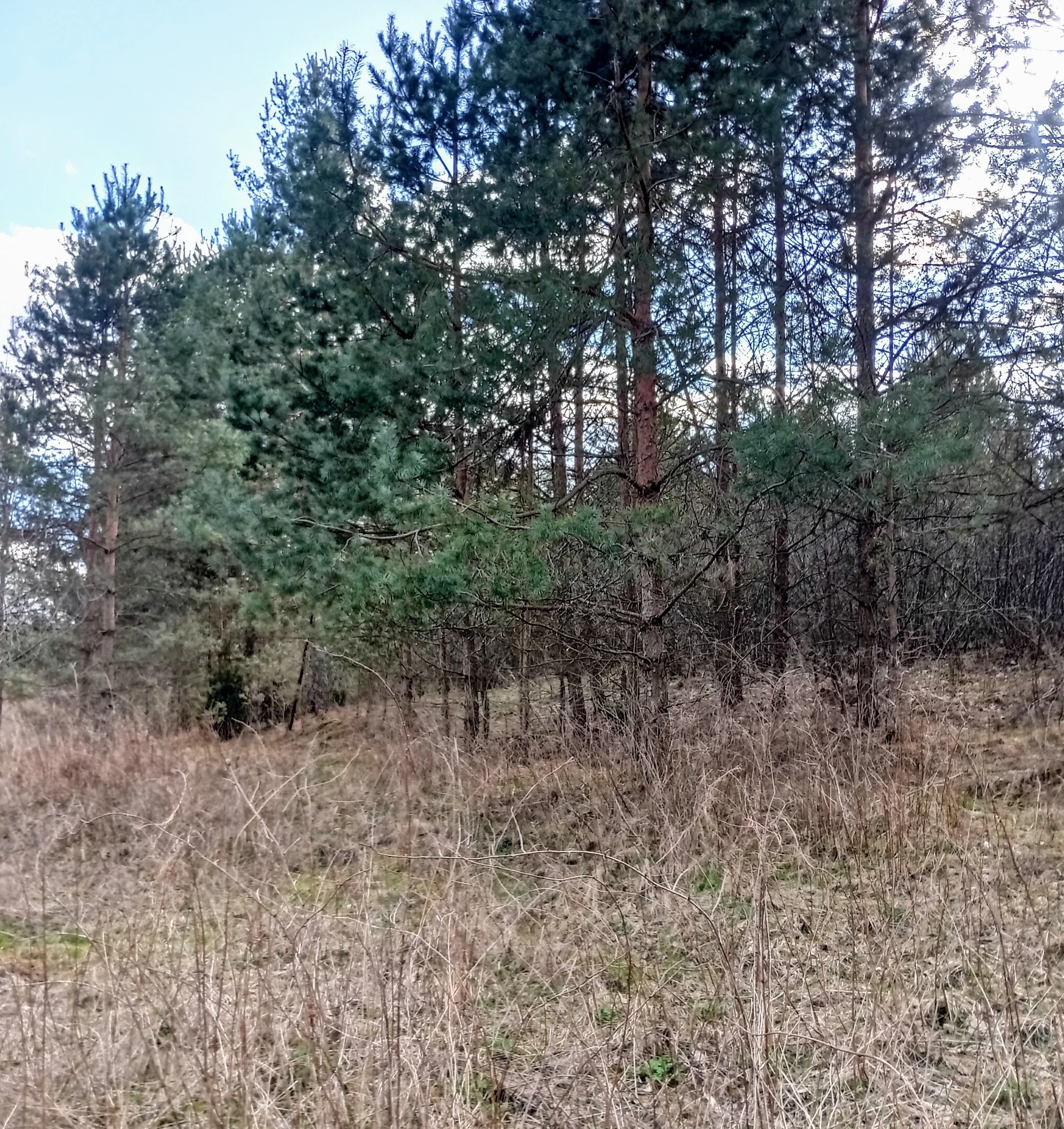 Sklypas Druskininkų sav., Latežeryje, Upės g. – nuotrauka 5