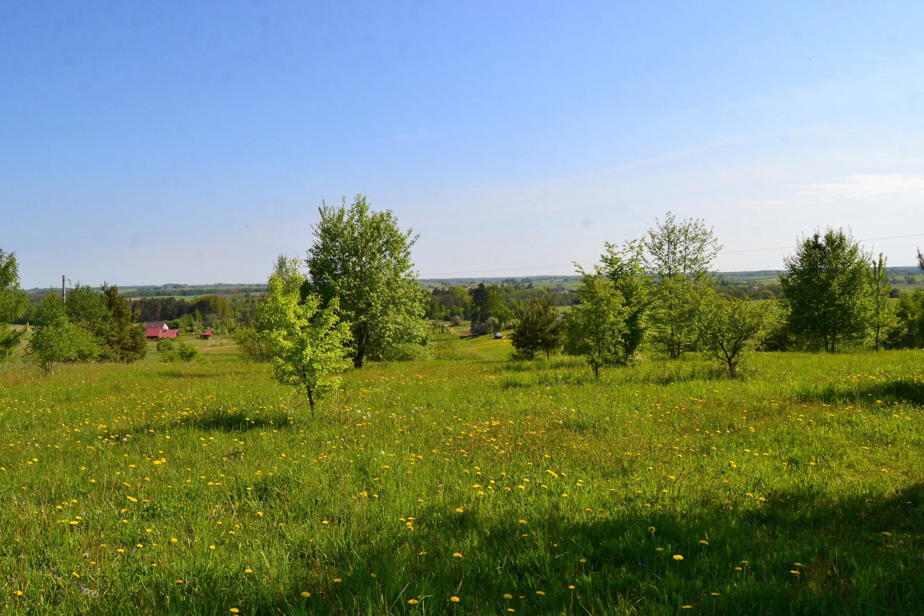 Sklypas Alytaus rajono sav., Poteronyse, Kauno g. – nuotrauka 5