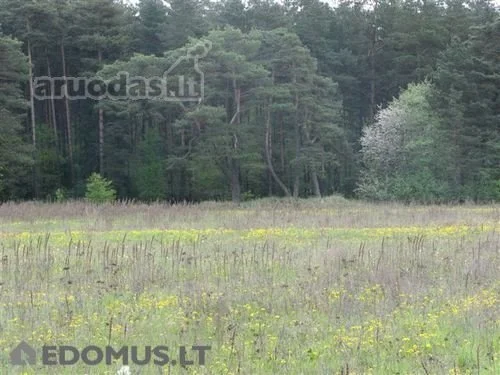 Sklypas Jonavos rajono sav., Prauliuose – nuotrauka 6