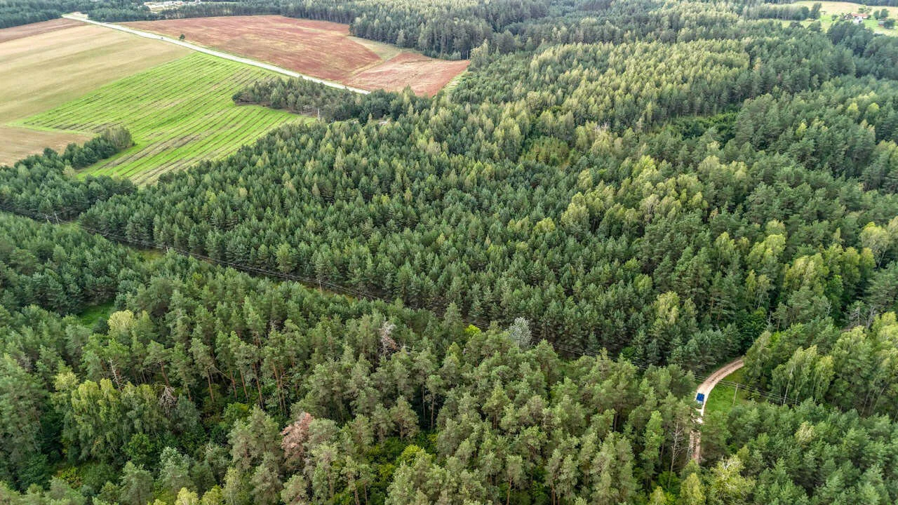 участок Varėnos rajono sav., Vilkiautinyje – изображение 4