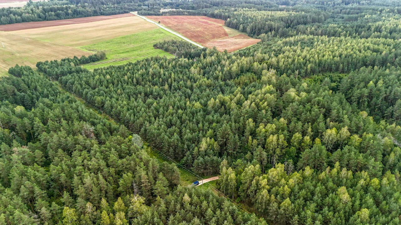 участок Varėnos rajono sav., Vilkiautinyje – изображение 5