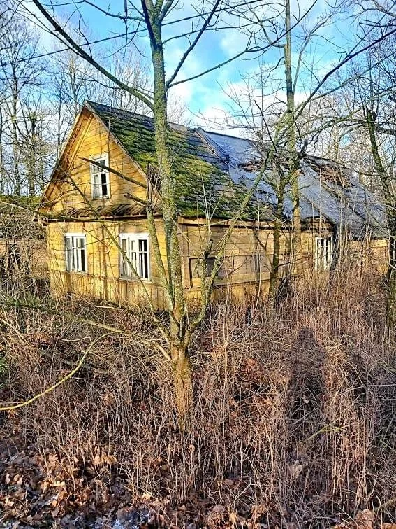 Sodyba Biržų rajono sav. – nuotrauka 2