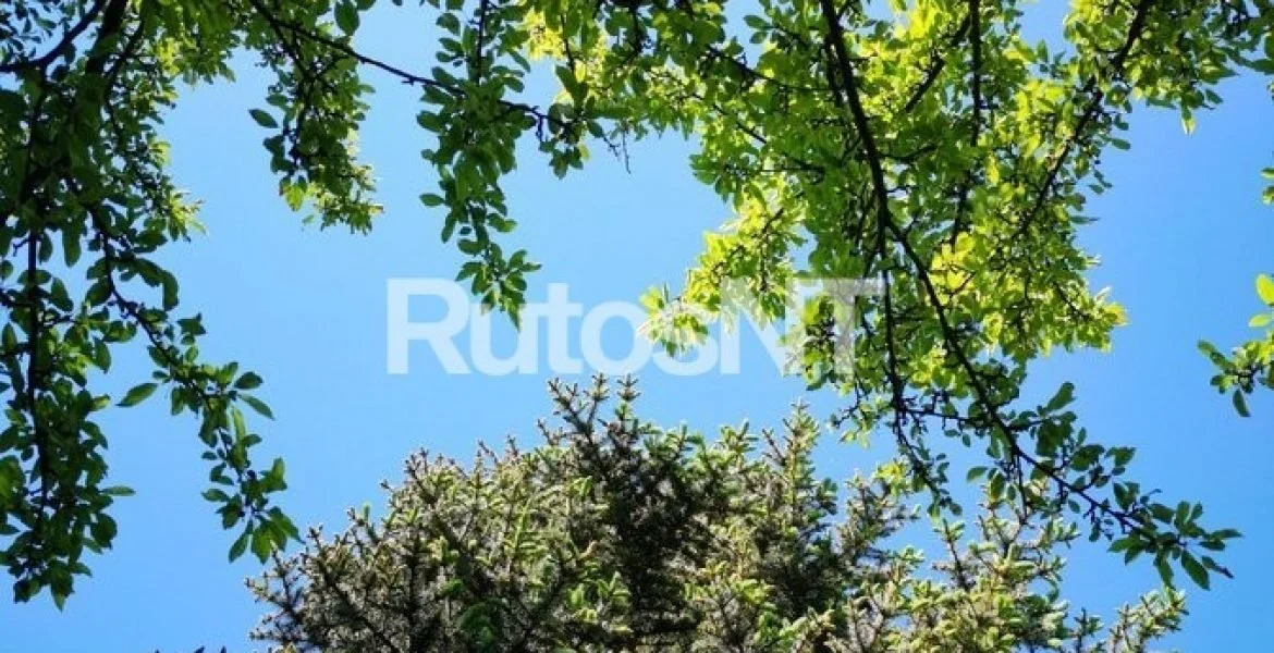 Sklypas Klaipėdos rajono sav., Maciuičiuose – nuotrauka 4